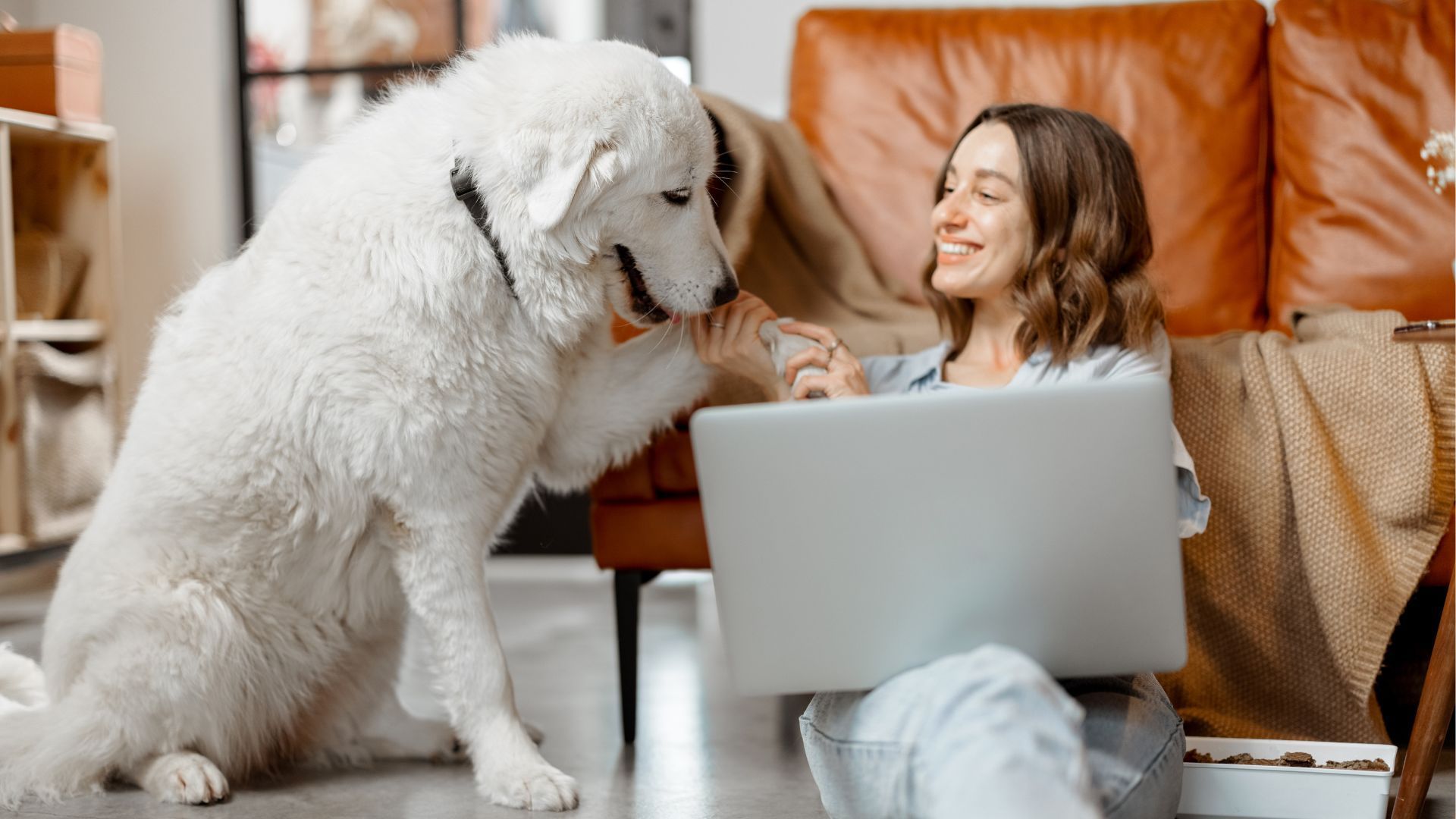 MICROSOFT POWERPOINT kursi (bez priekšzināšanām)